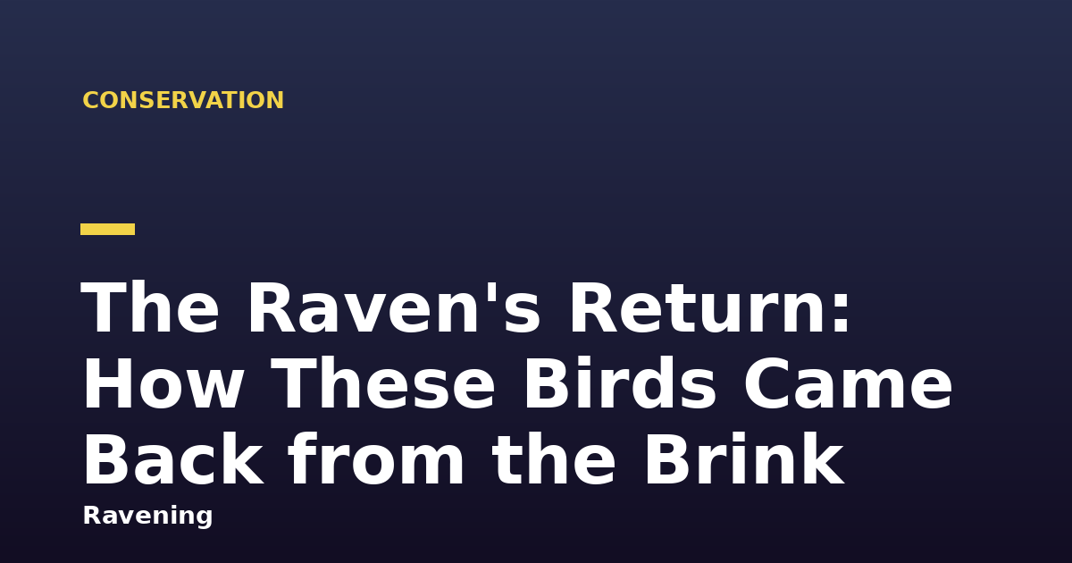 The Raven's Return: How These Birds Came Back from the Brink